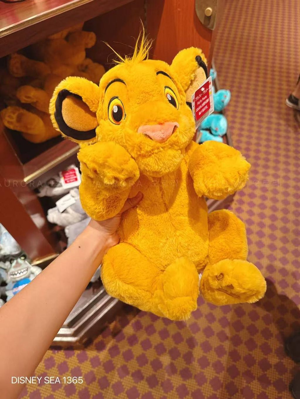 photo_1_2026-04-29_13-41-41