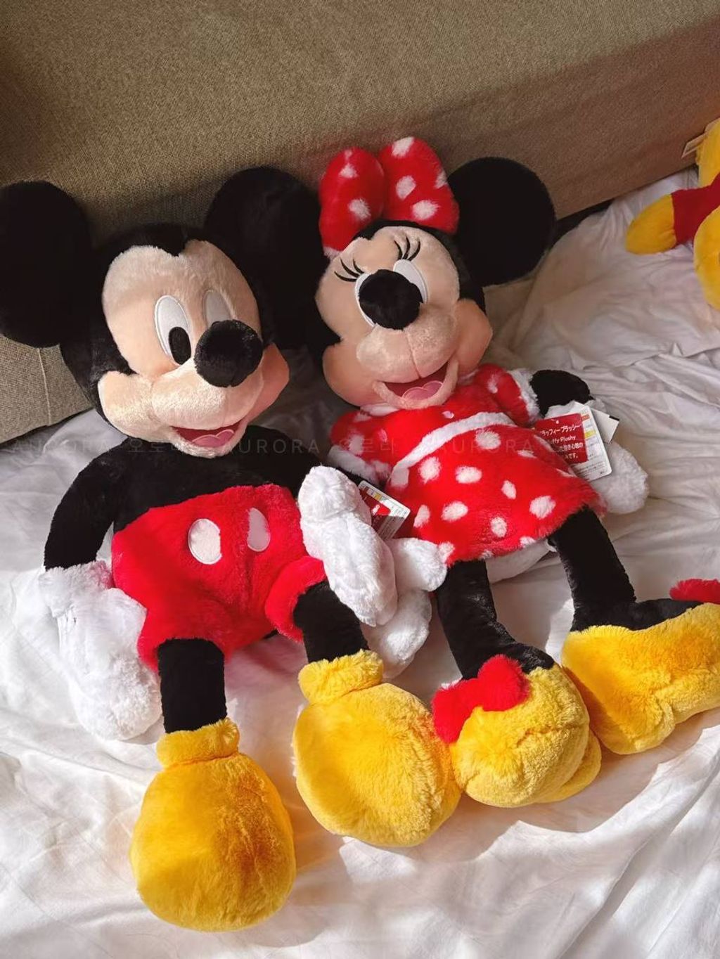 photo_8_2026-04-29_13-42-21