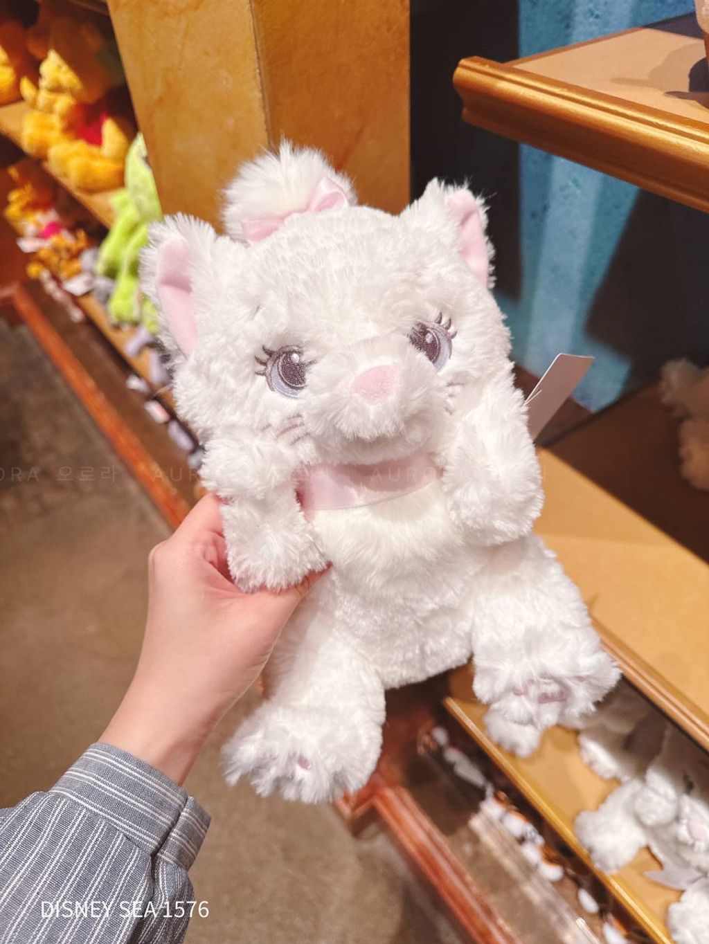 photo_1_2026-04-29_16-11-27