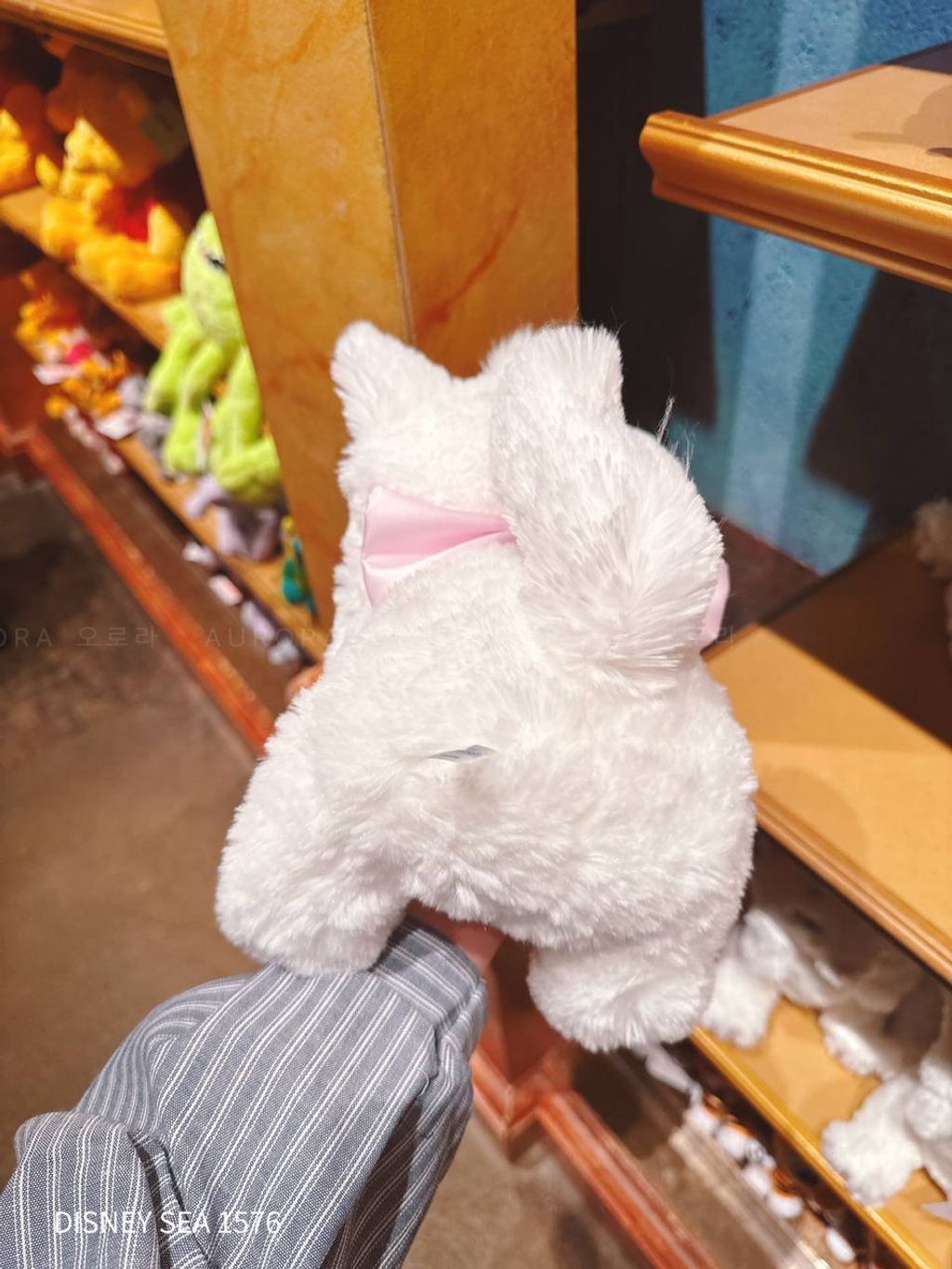 photo_3_2026-04-29_16-11-27