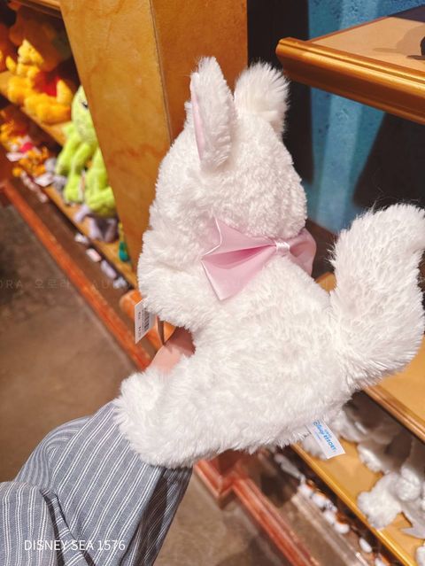 photo_2_2026-04-29_16-11-27