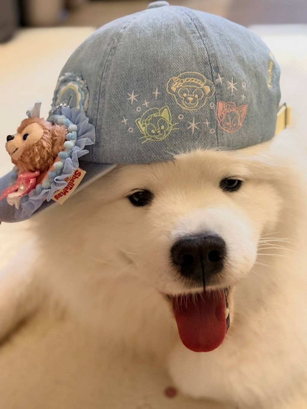 photo_5_2026-04-29_17-00-27