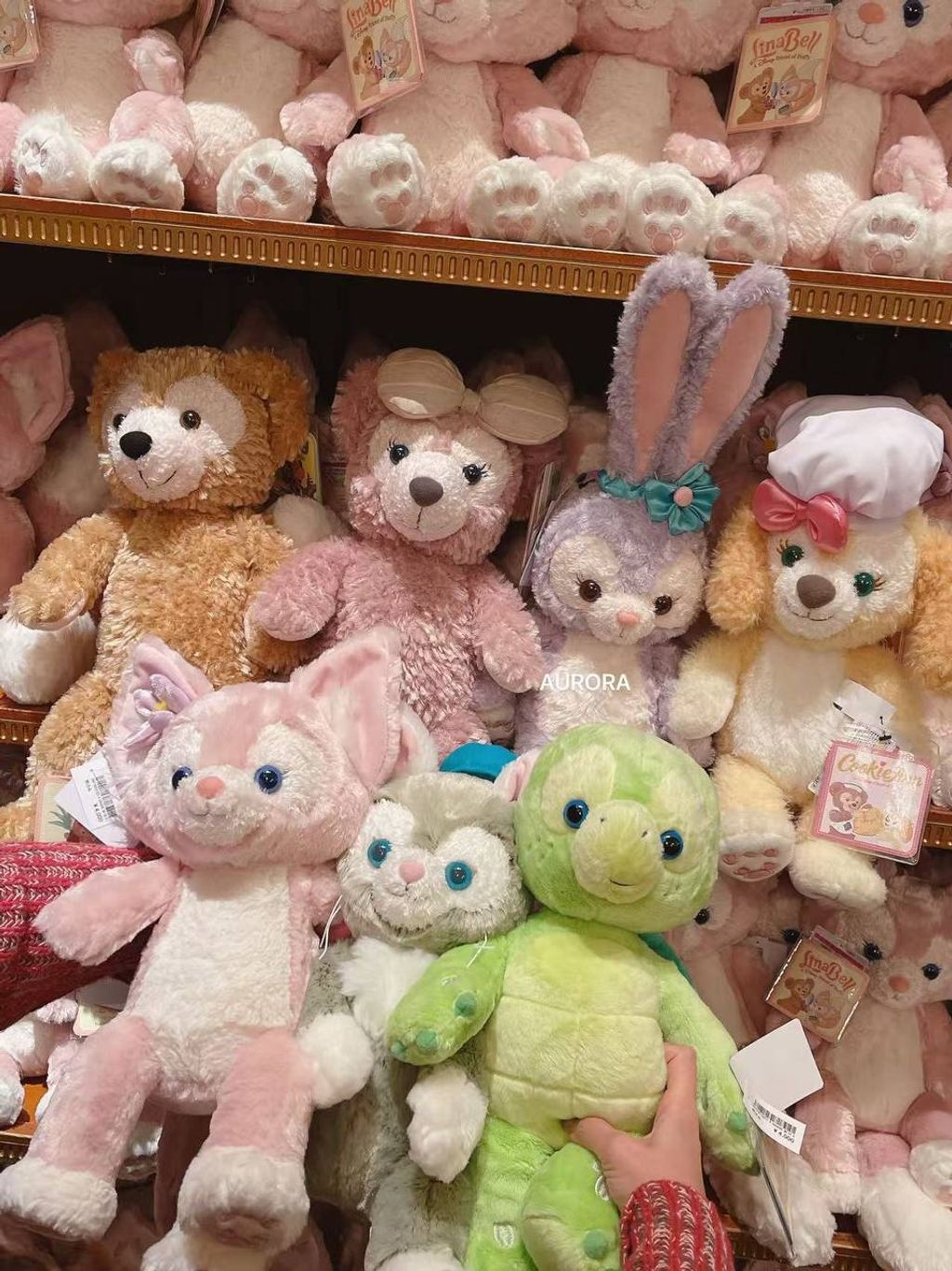 photo_1_2026-04-29_17-40-50