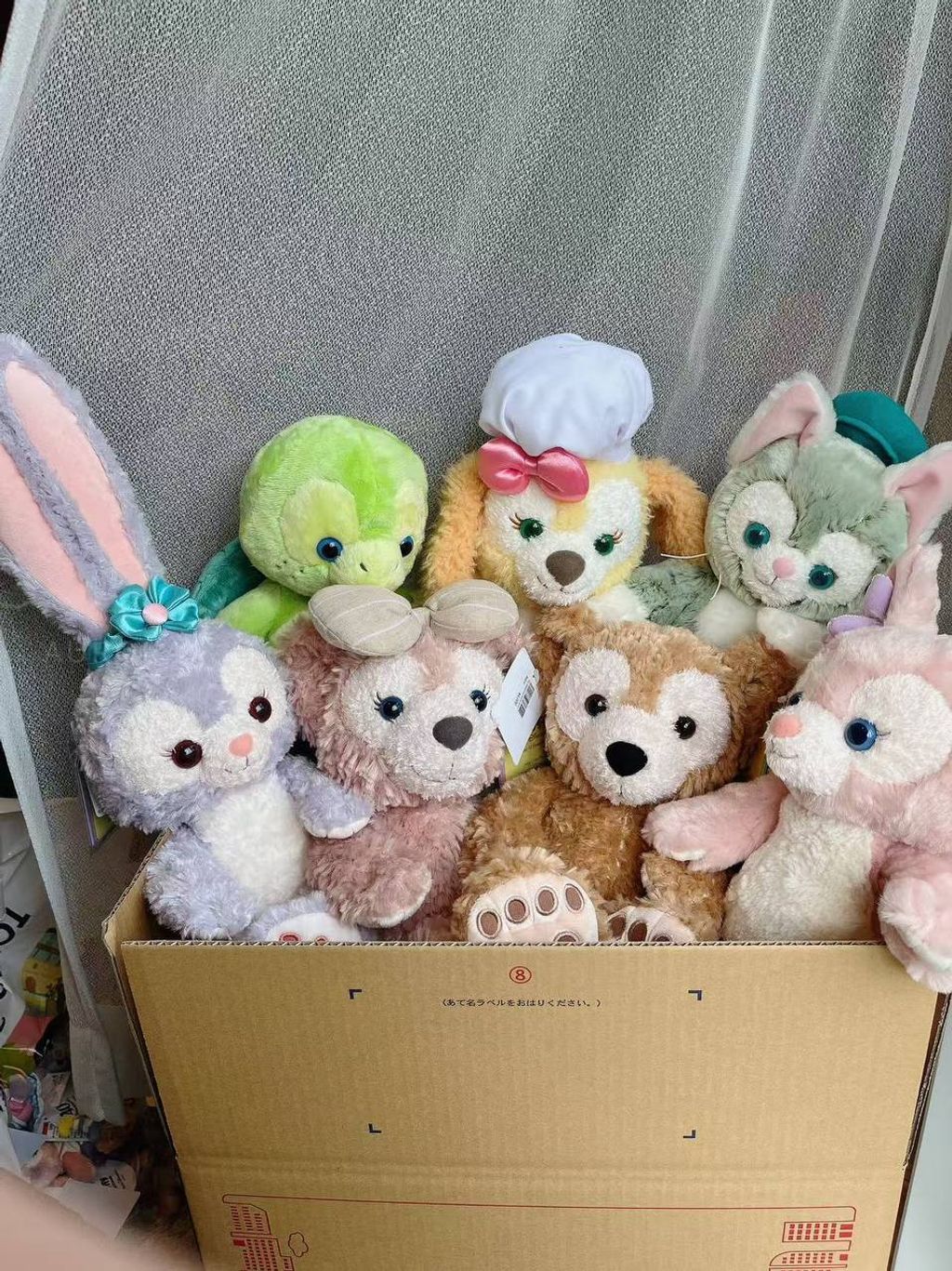 photo_4_2026-04-29_17-40-50