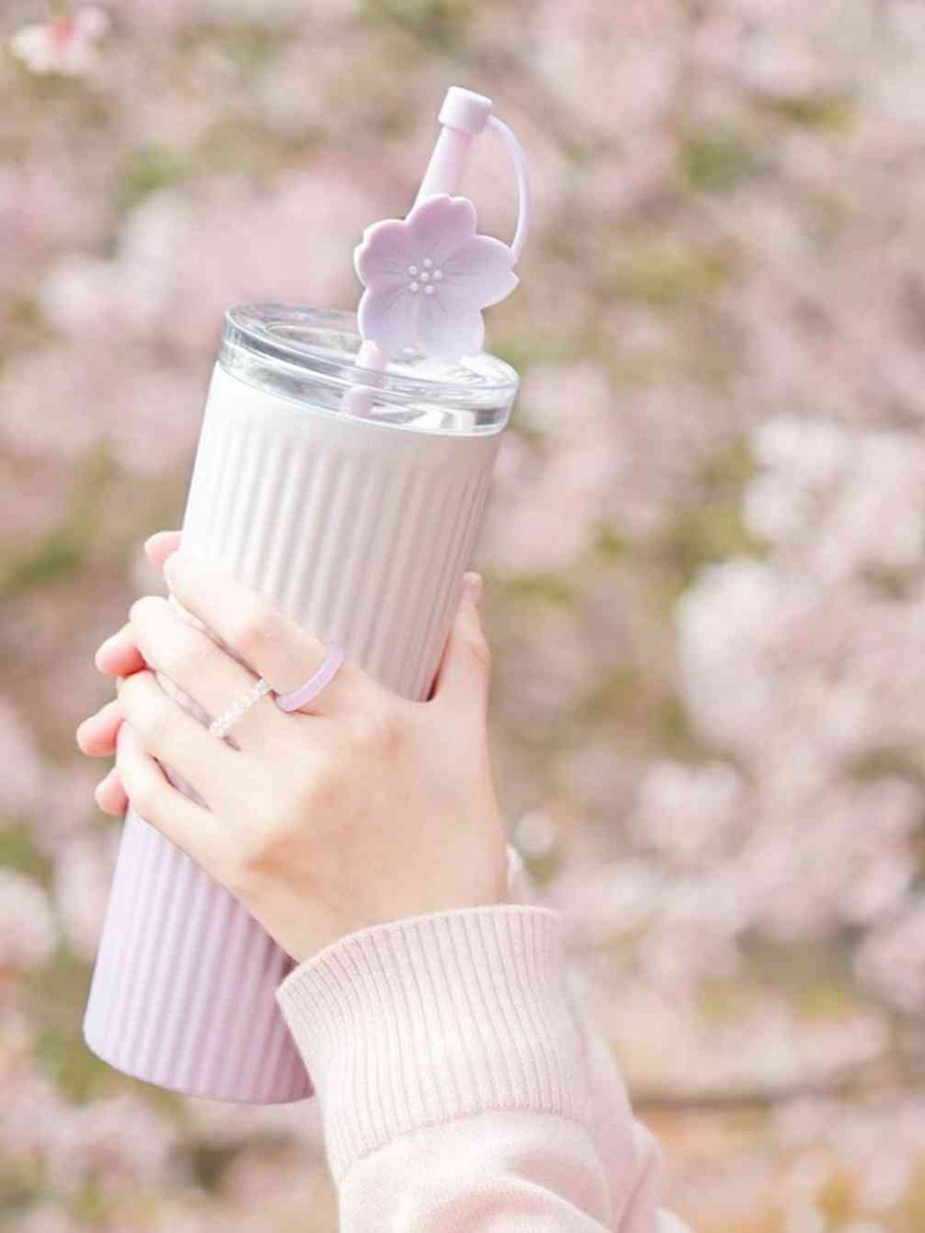 JPEG_20240613_091840_5155305806873900189