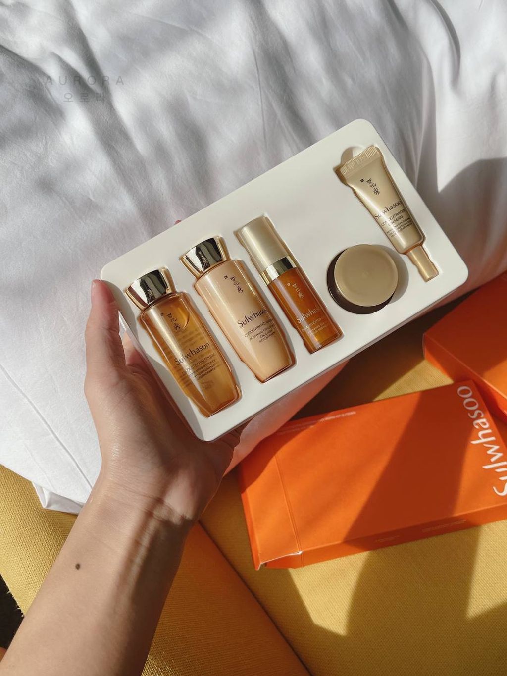 IMG_20240825_214427_795