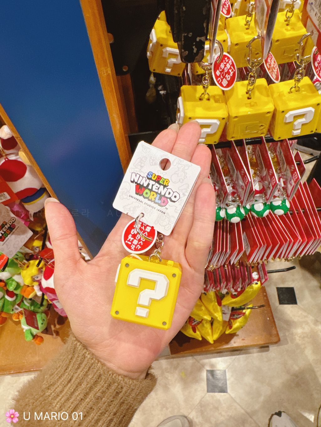 USJ Mario 01 | Mario 问号砖