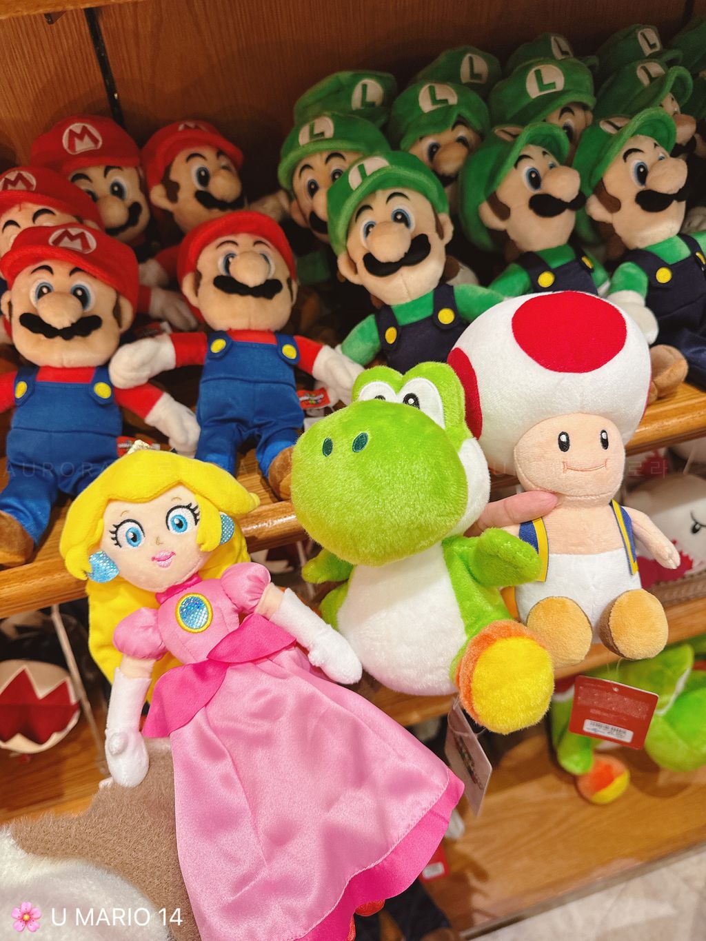 [日本] USJ Mario 14 | 经典公仔25cm