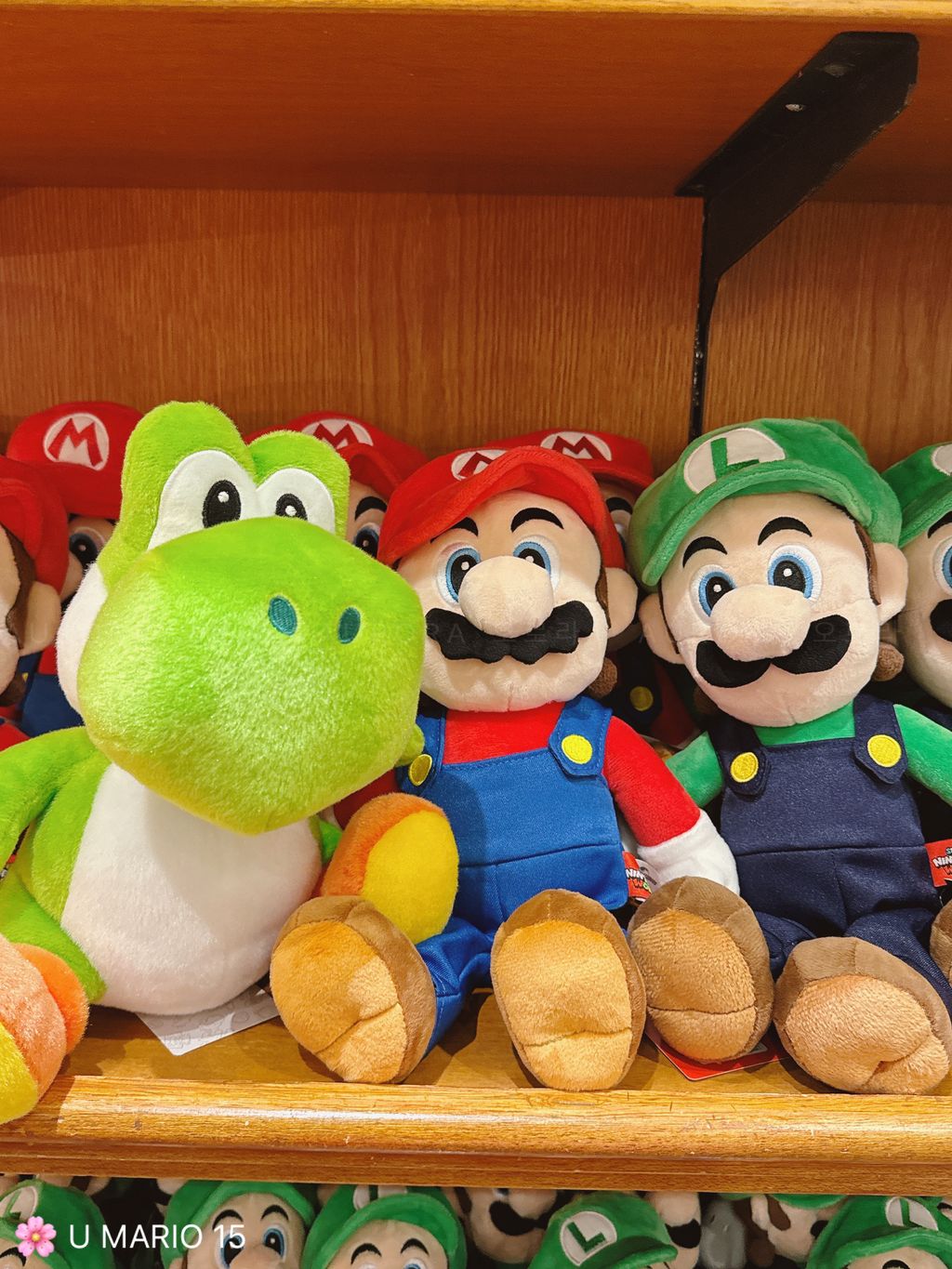 [日本] USJ Mario 15 | 经典公仔 30cm
