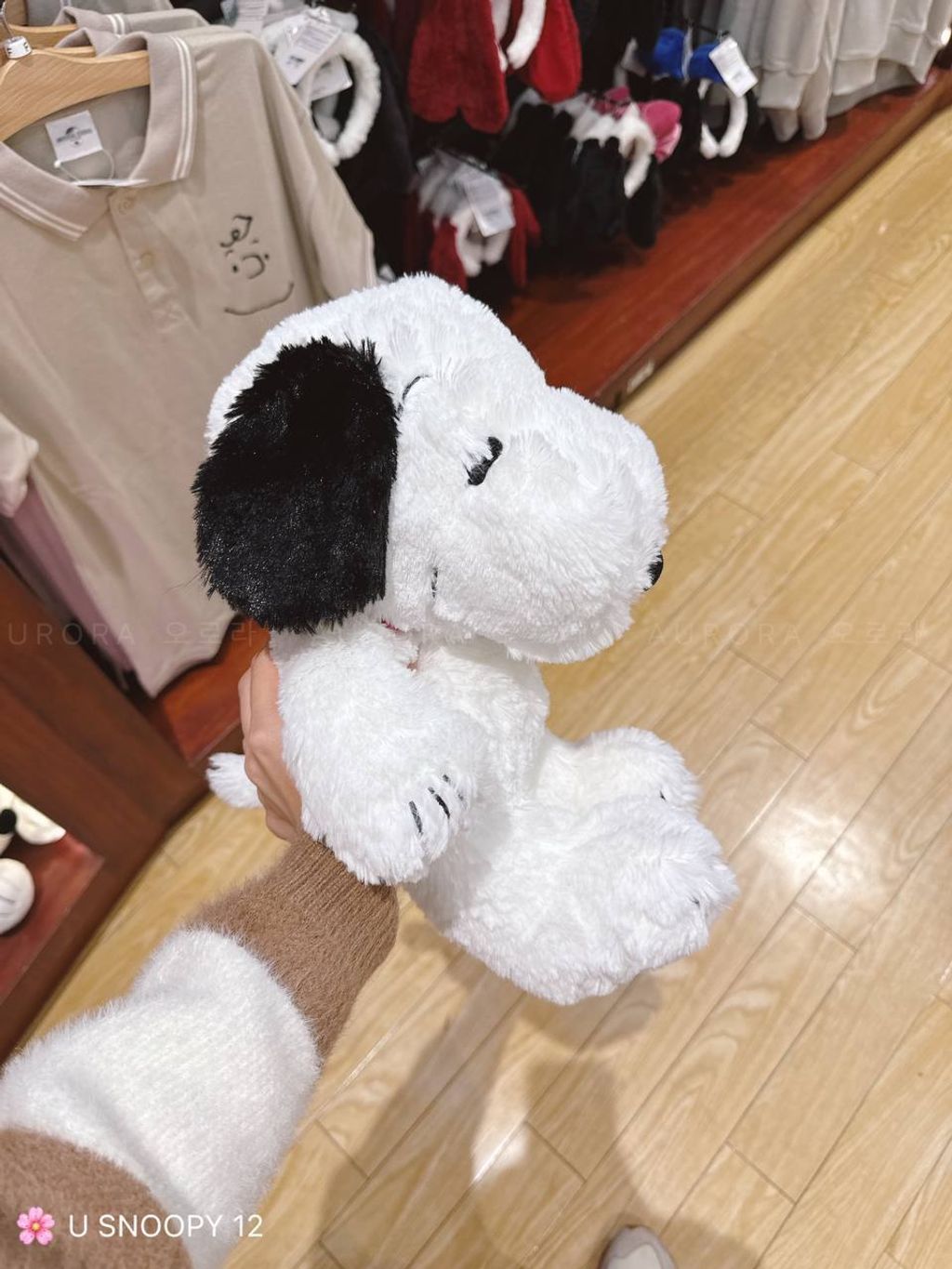 IMG_20240911_192727_744