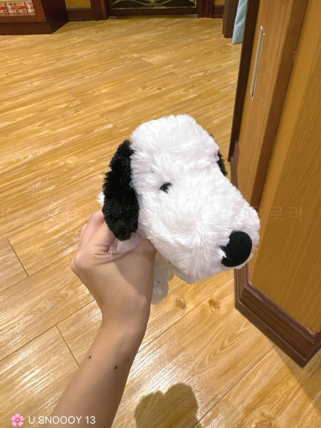 IMG_20240911_192945_786