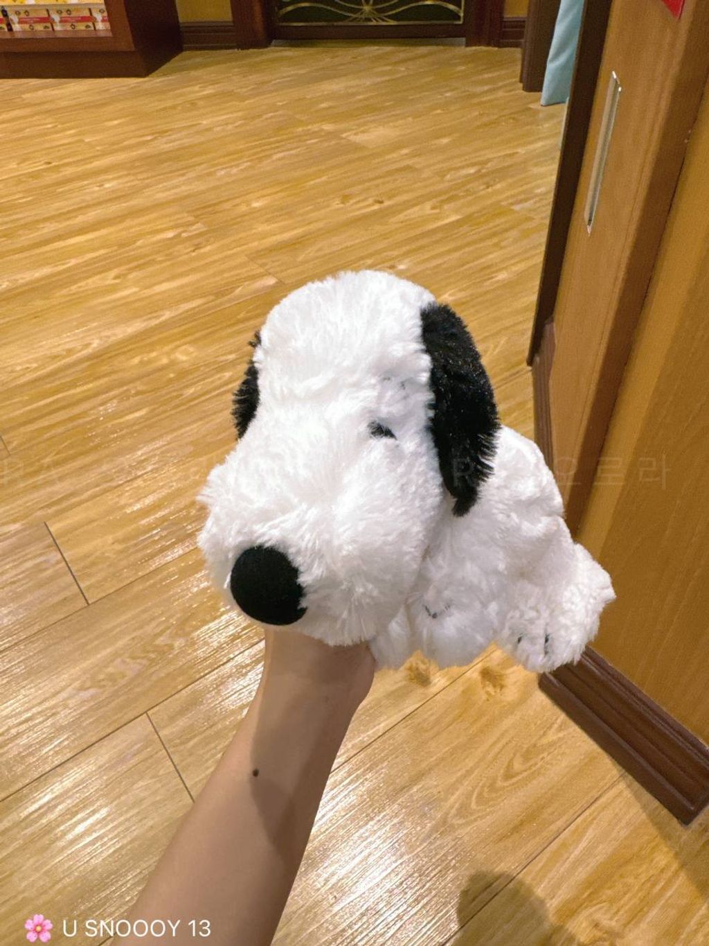 IMG_20240911_192945_617