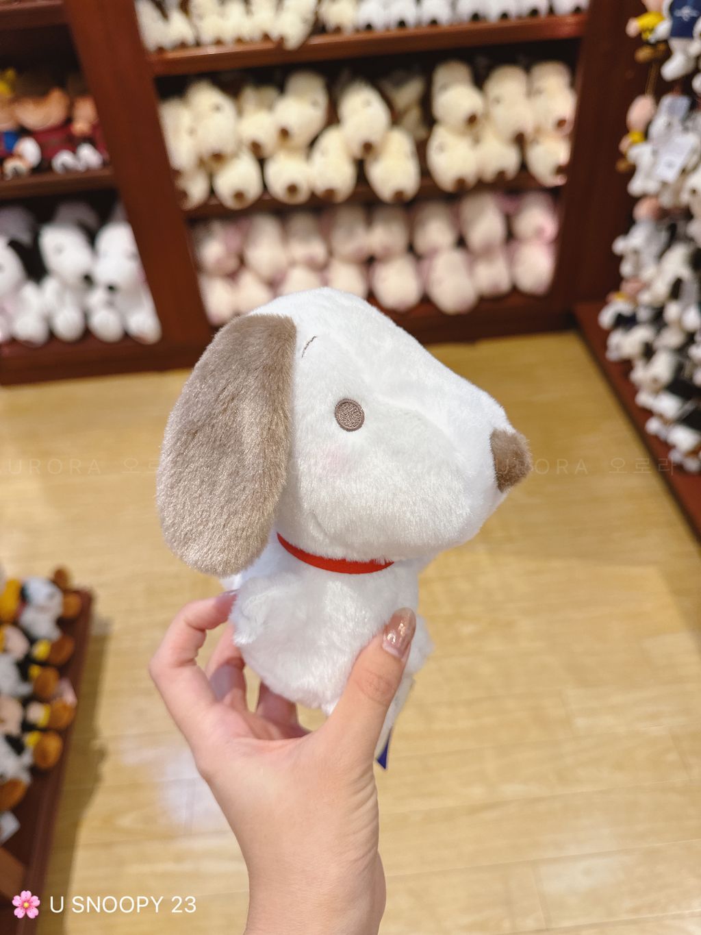 mmexport1726055562116