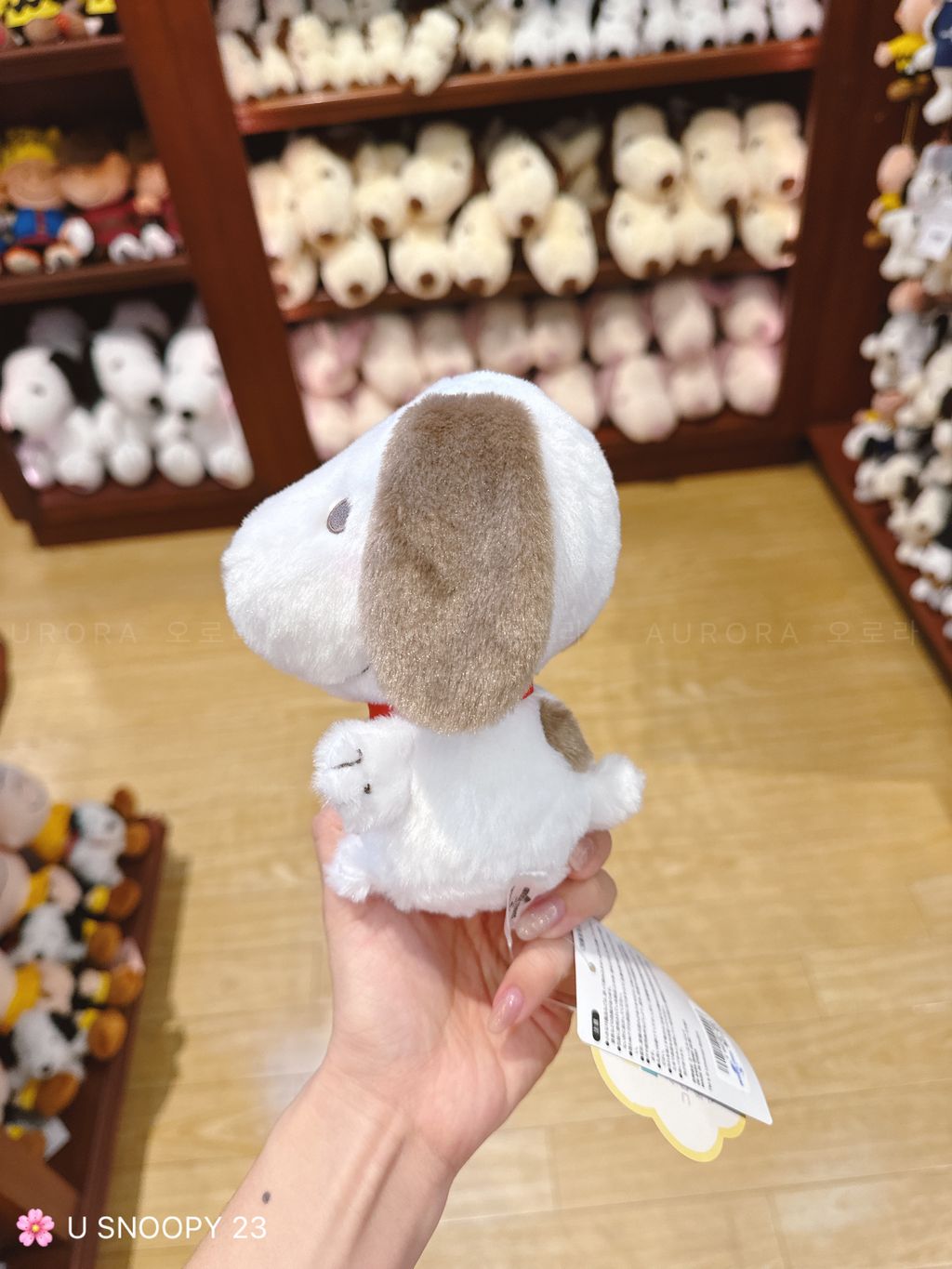 mmexport1726055564480