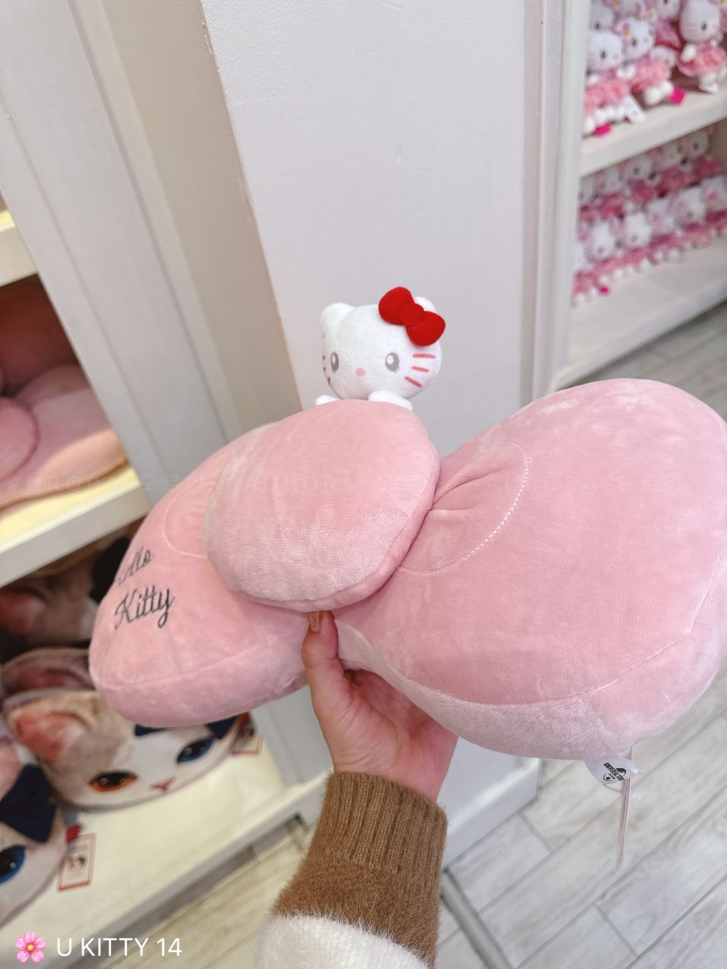 mmexport1726057507352