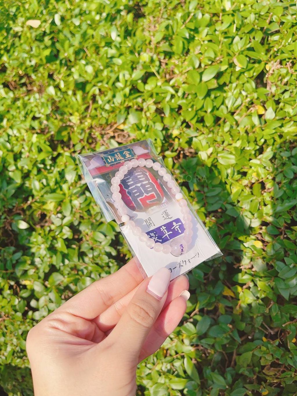 photo_2_2024-09-15_14-46-16