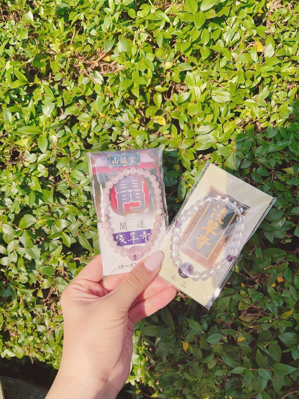 photo_1_2024-09-15_14-46-16