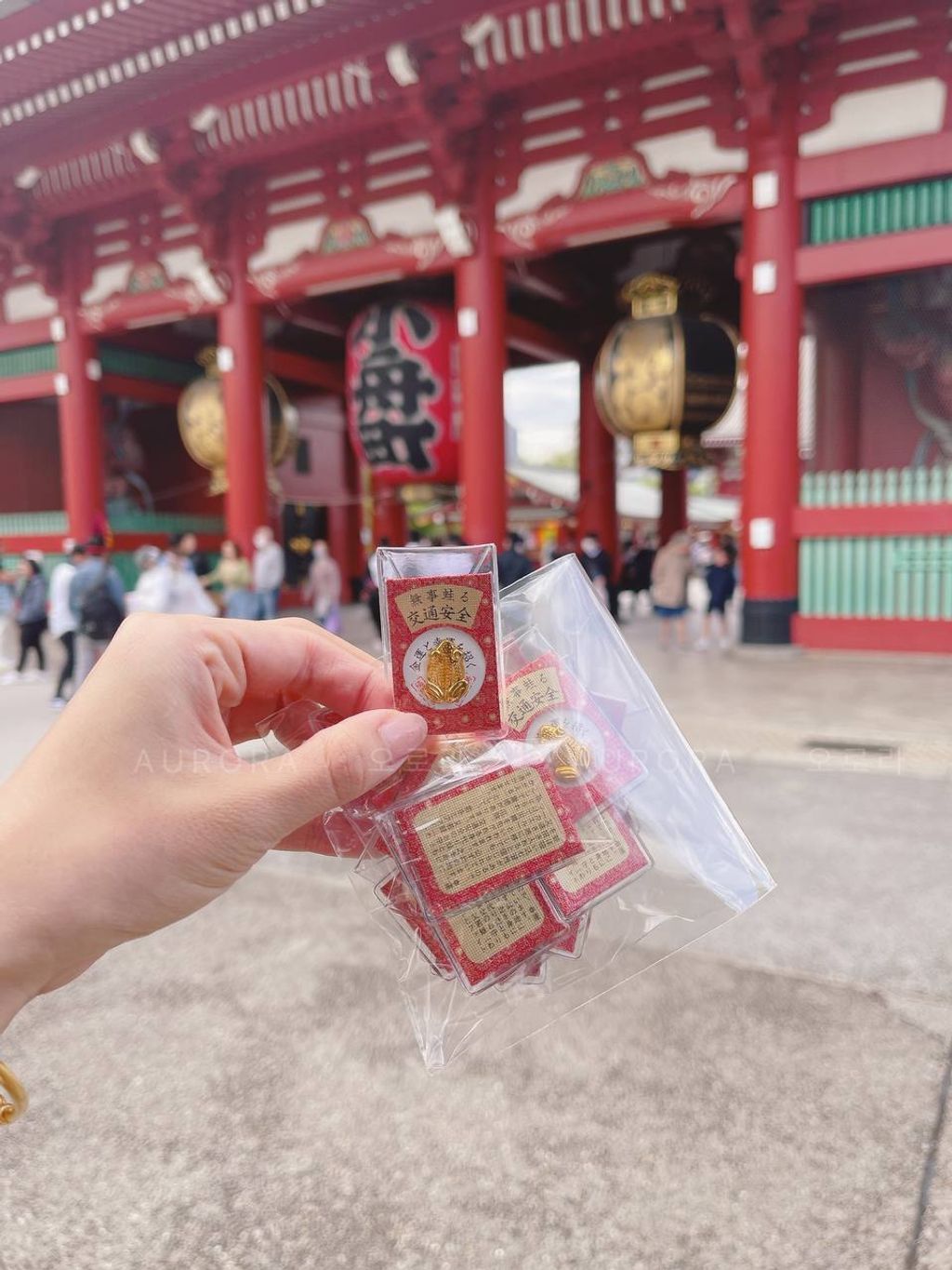 photo_7_2024-09-15_14-48-32