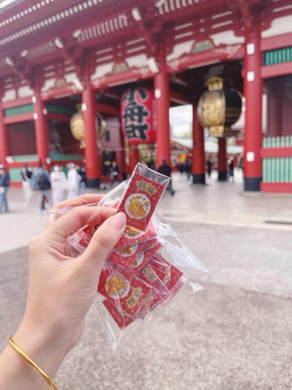 photo_19_2024-09-15_14-48-32