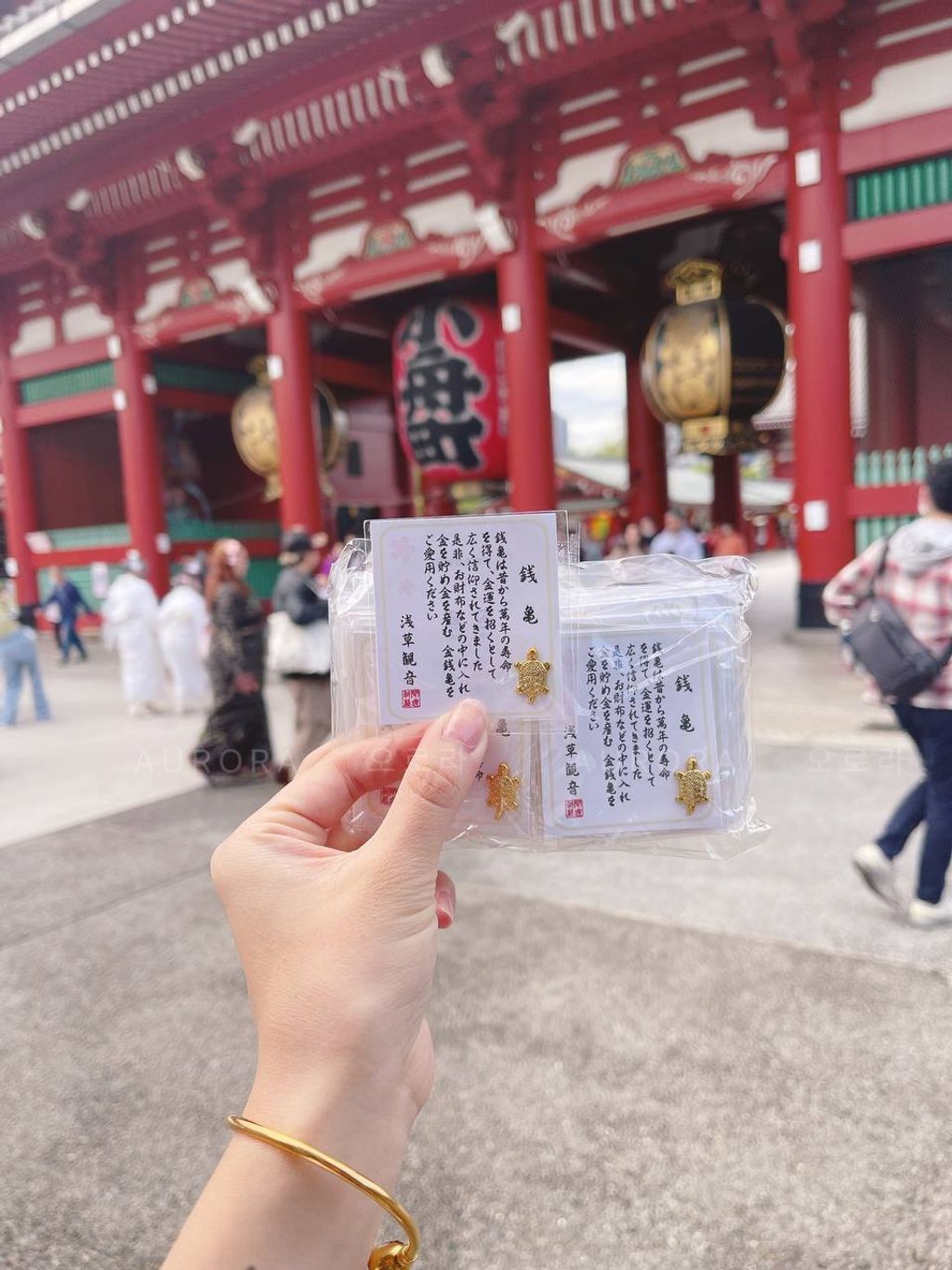 photo_1_2024-09-15_14-48-32