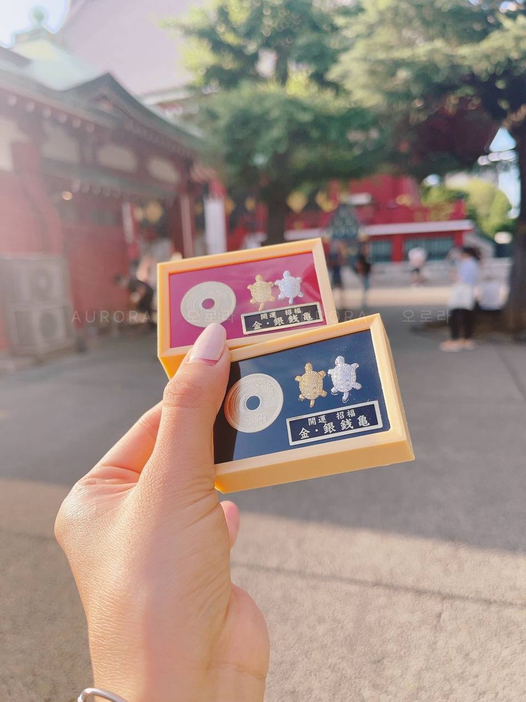 photo_13_2024-09-15_14-48-32