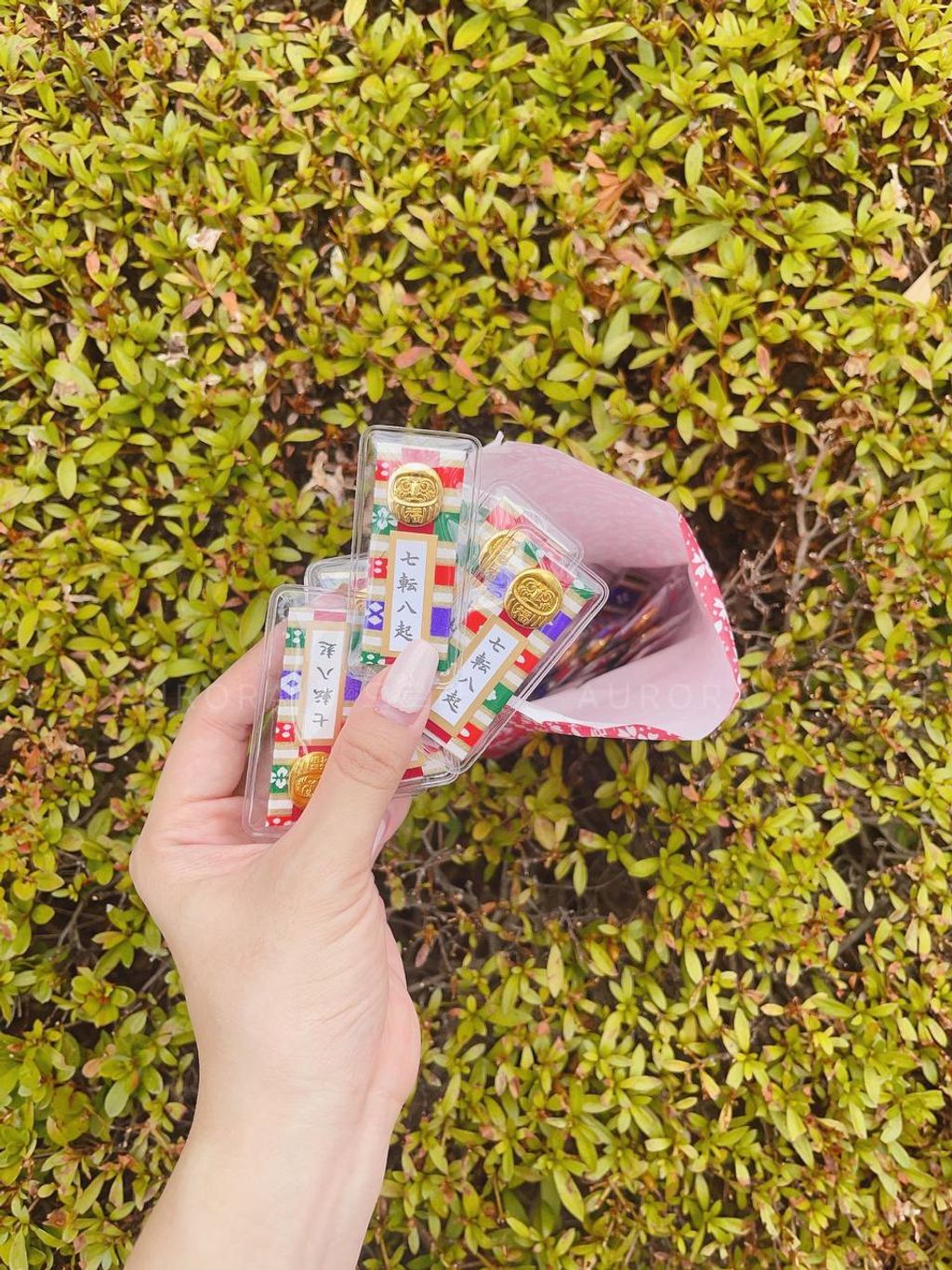 photo_14_2024-09-15_14-48-32