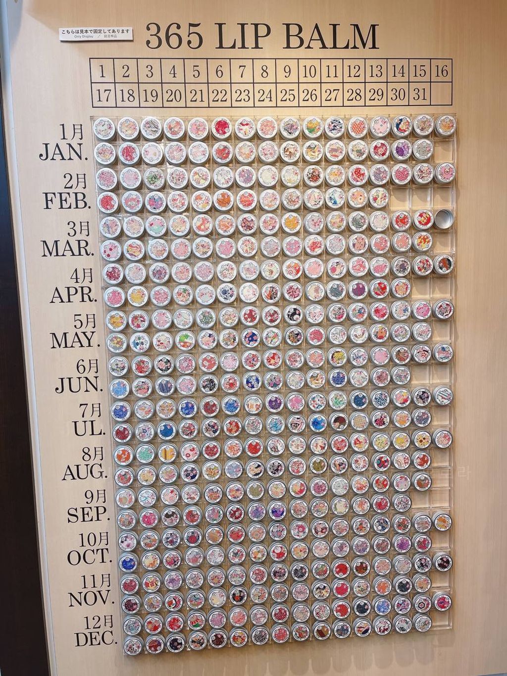 photo_2024-09-15_15-21-39