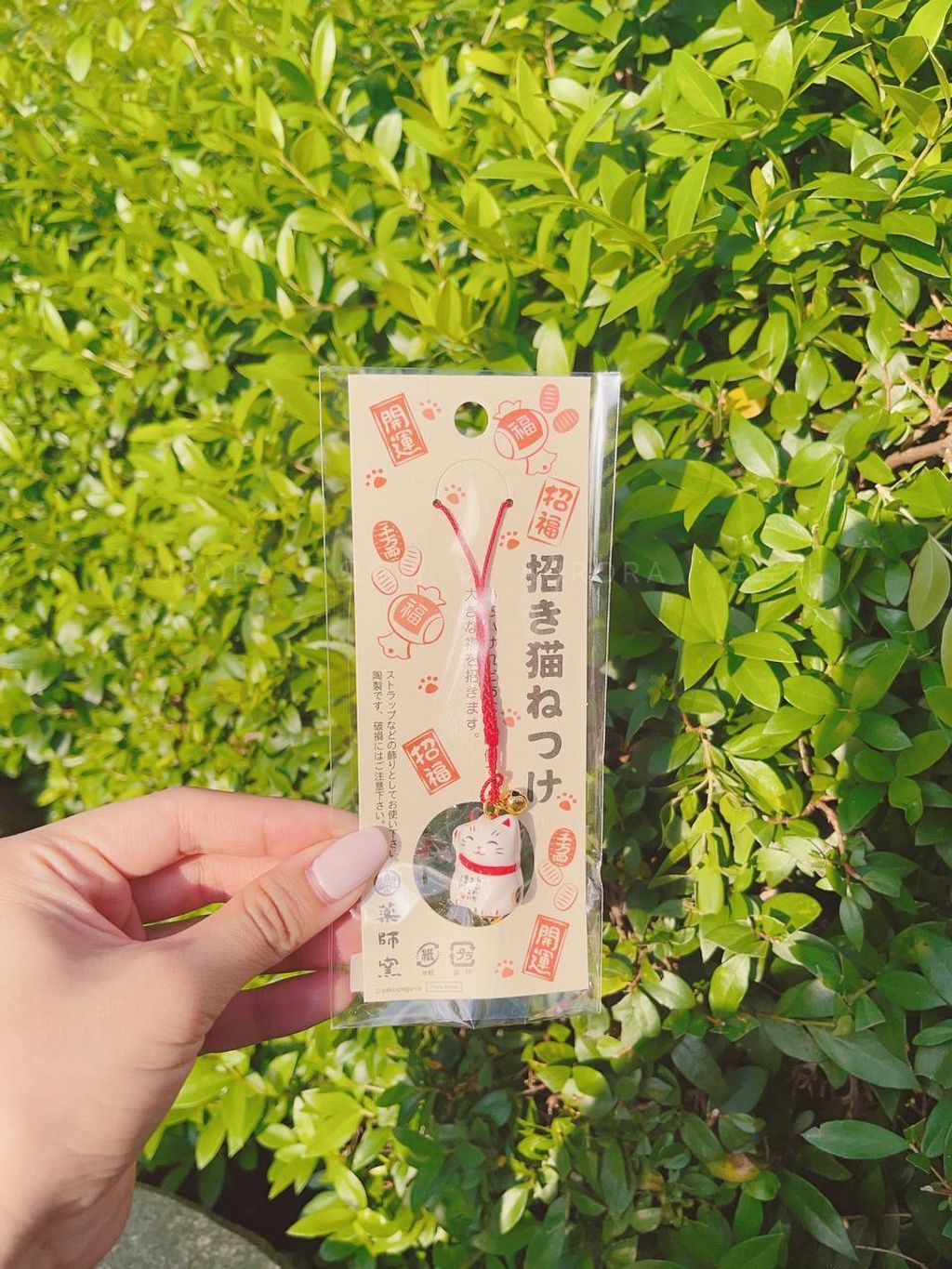 photo_2_2024-09-15_15-23-00