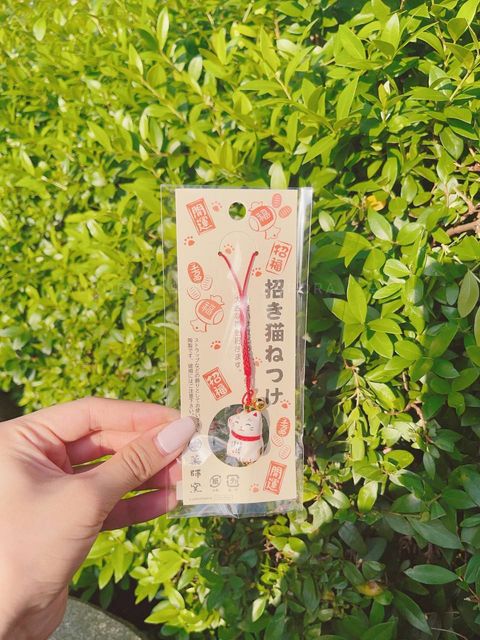 photo_2_2024-09-15_15-23-00