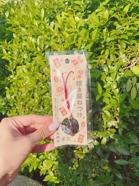 photo_4_2024-09-15_15-23-00