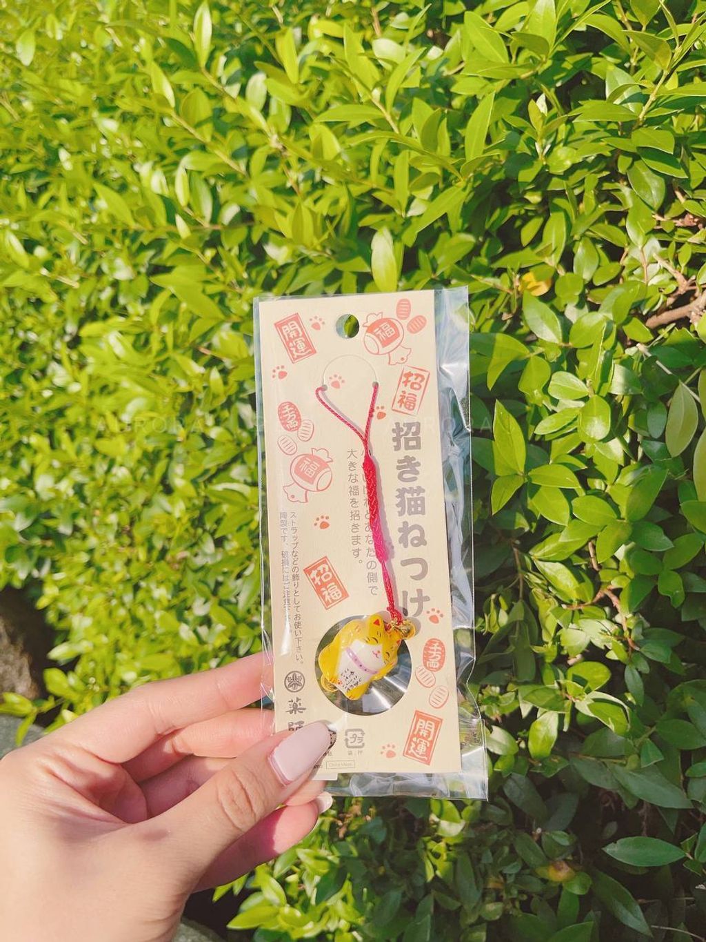 photo_6_2024-09-15_15-23-00