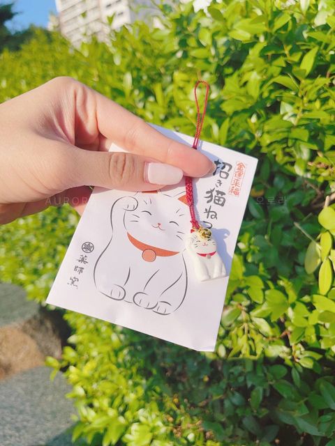 photo_2024-09-15_15-25-50