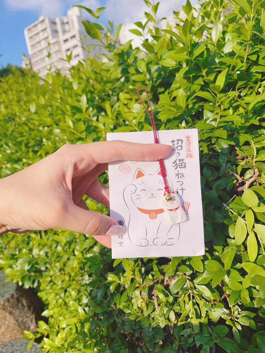 photo_2024-09-15_15-25-47