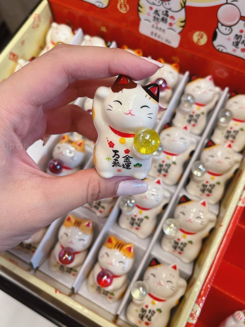 photo_2_2024-09-15_15-27-07