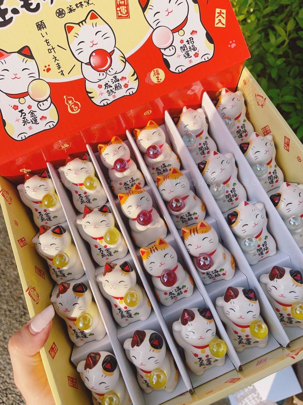 photo_3_2024-09-15_15-27-07