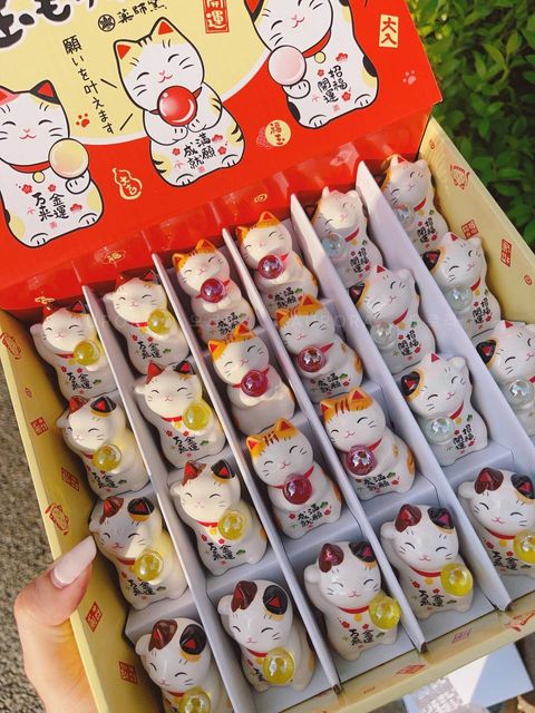 photo_3_2024-09-15_15-27-07