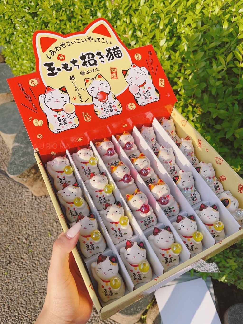 photo_4_2024-09-15_15-27-07