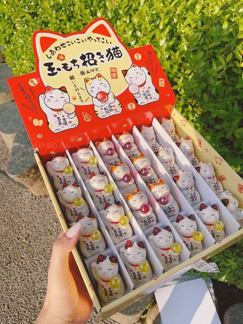 photo_4_2024-09-15_15-27-07