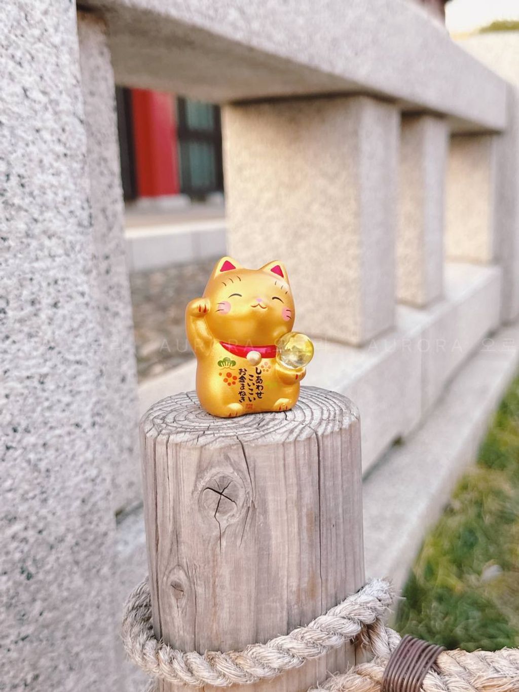 photo_1_2024-09-15_15-29-14