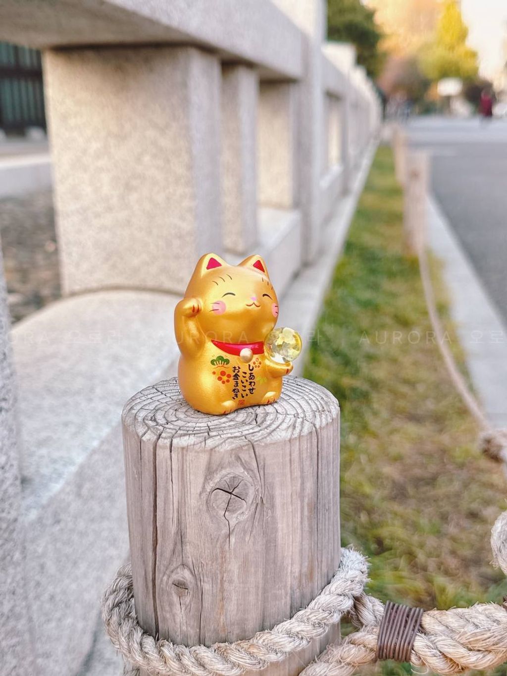 photo_3_2024-09-15_15-29-14