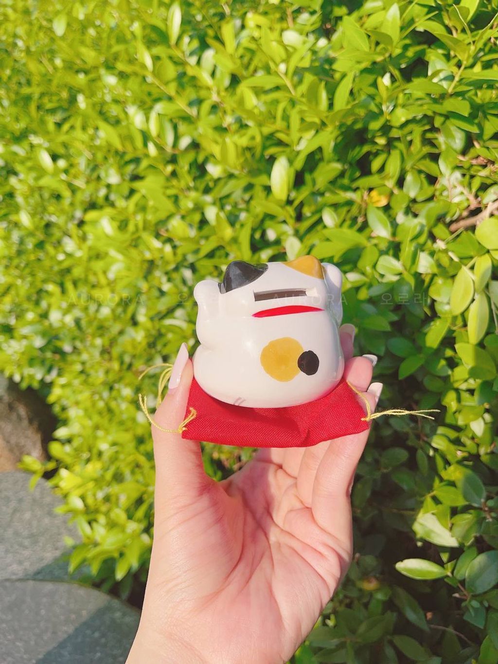 photo_1_2024-09-15_15-30-19