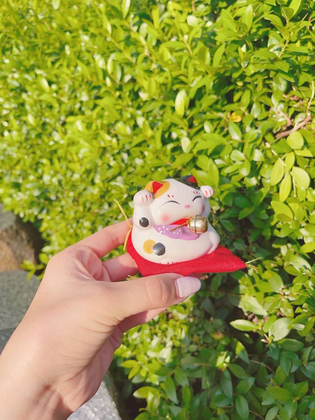 photo_3_2024-09-15_15-30-19