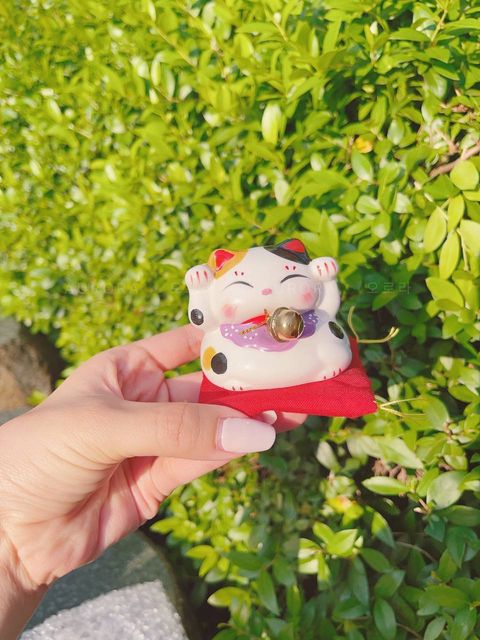 photo_2_2024-09-15_15-30-19