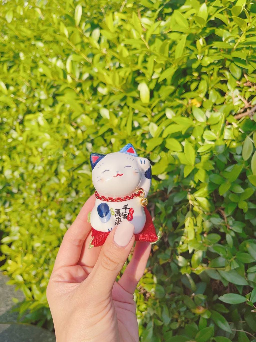 photo_2024-09-15_15-47-51