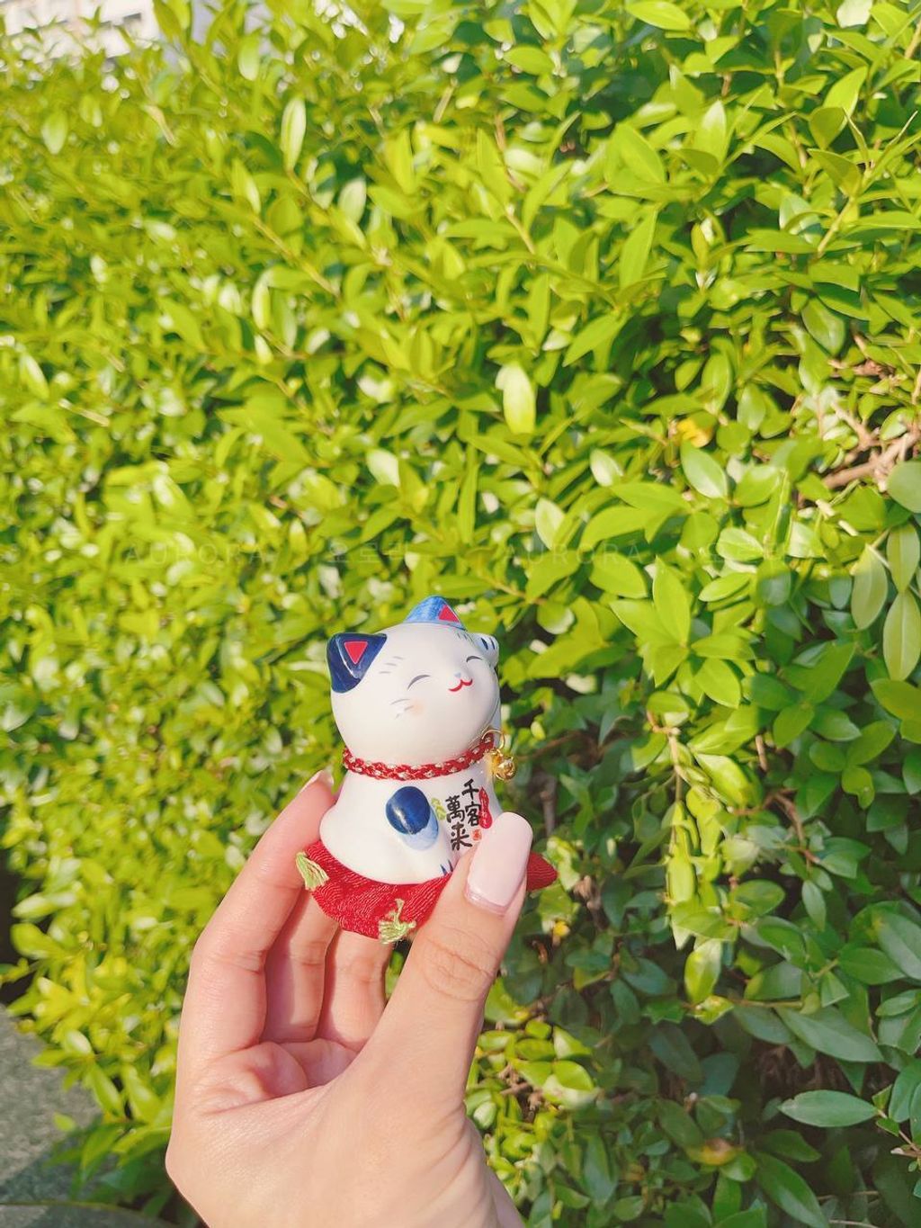 photo_2024-09-15_15-47-54