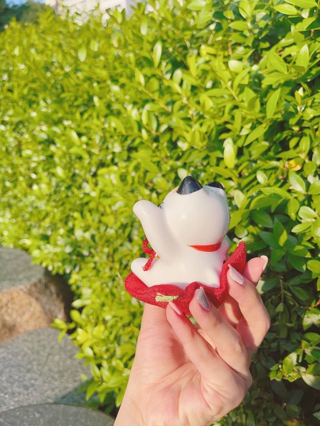 photo_2024-09-15_15-50-21