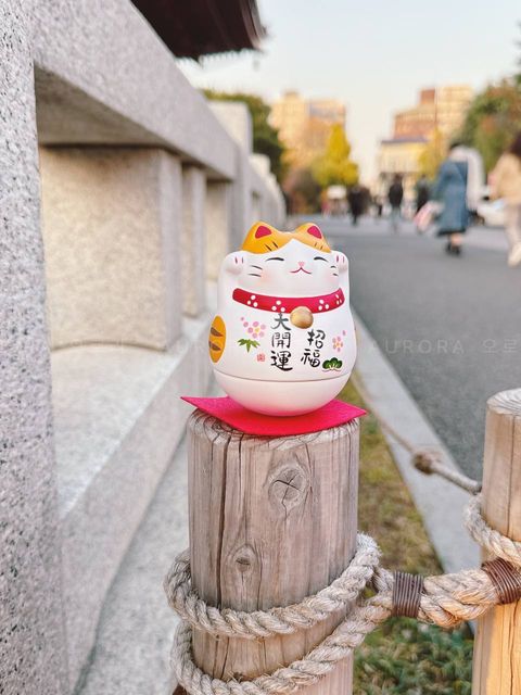 photo_2_2024-09-15_15-52-44