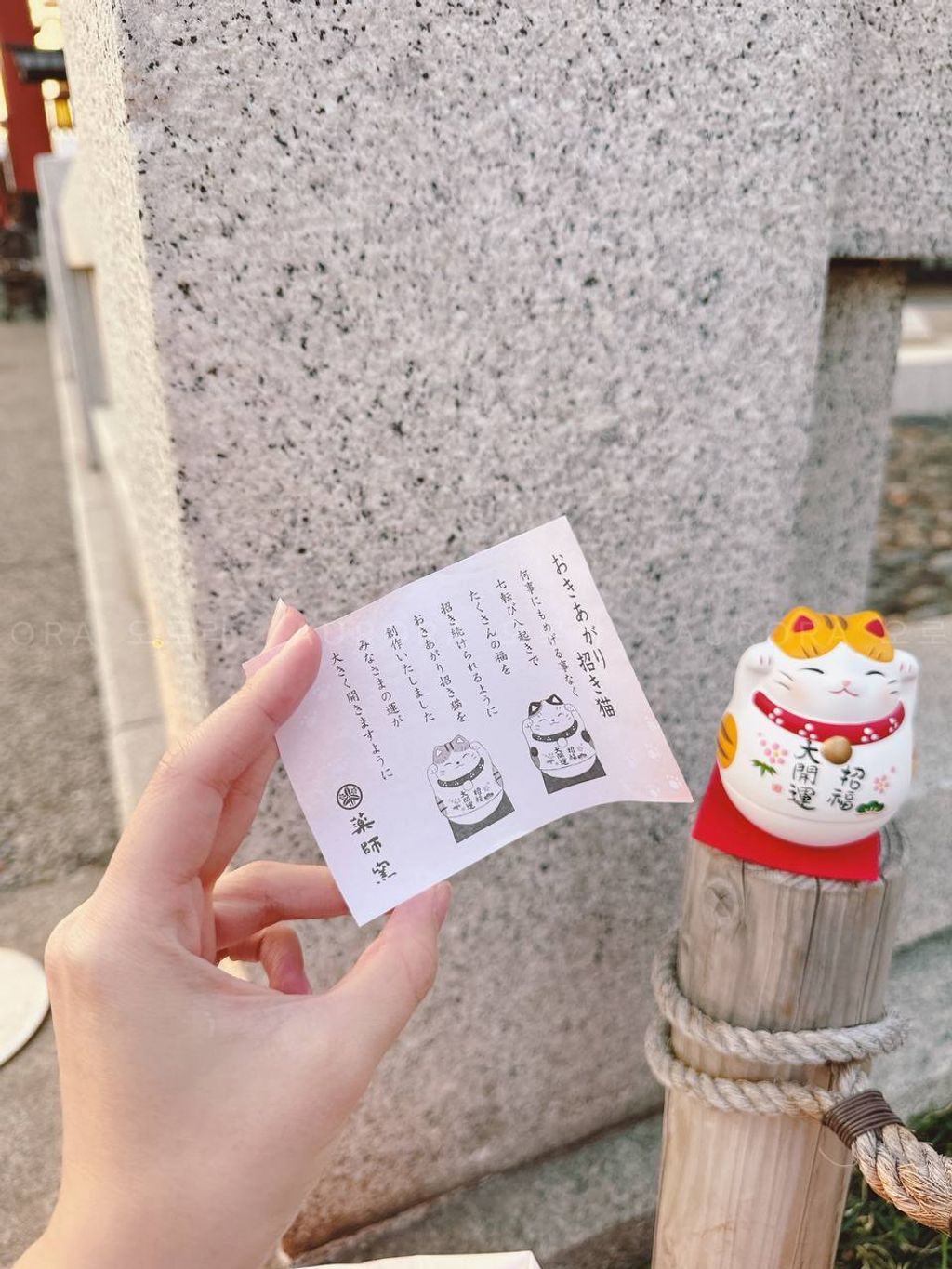 photo_4_2024-09-15_15-52-44