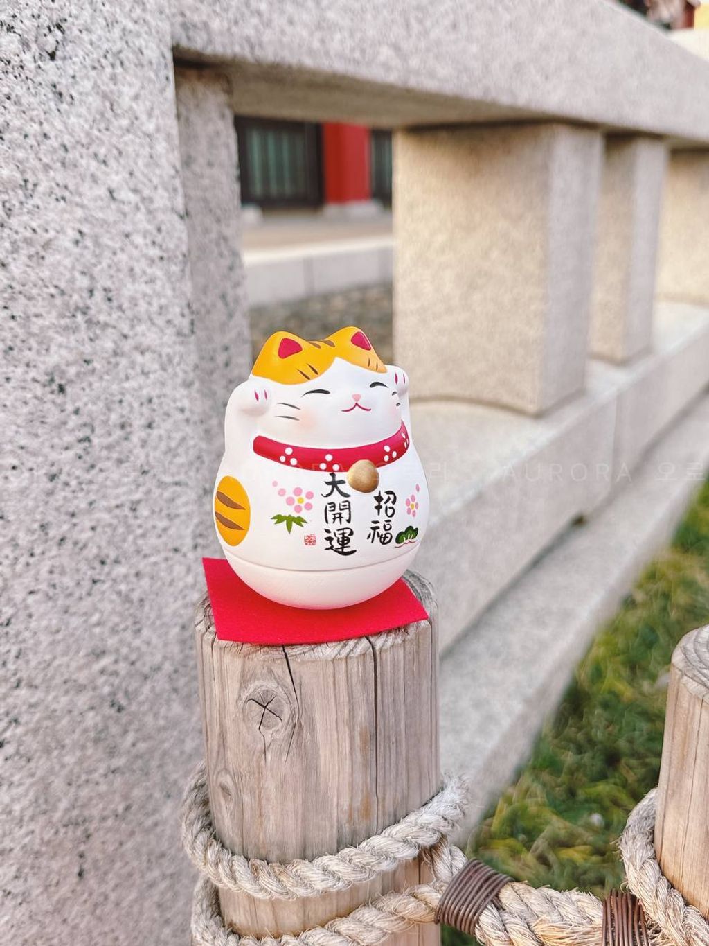 photo_5_2024-09-15_15-52-44