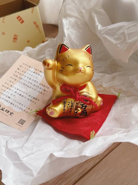 photo_1_2024-09-15_15-56-14